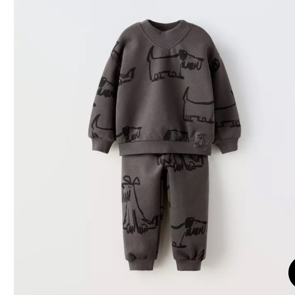 Zara Other - Zara Kids Jogging Suit  2-3 Years 2T